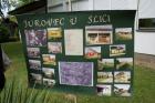 DSC09591